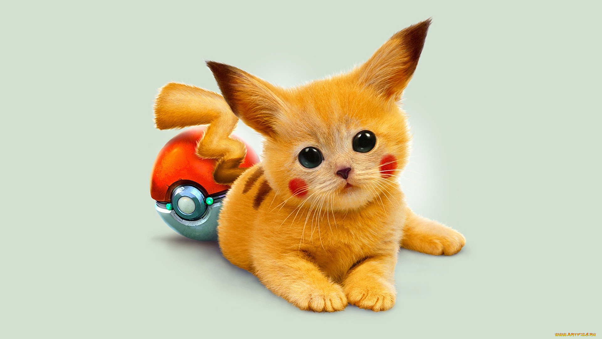 , pokemon, 